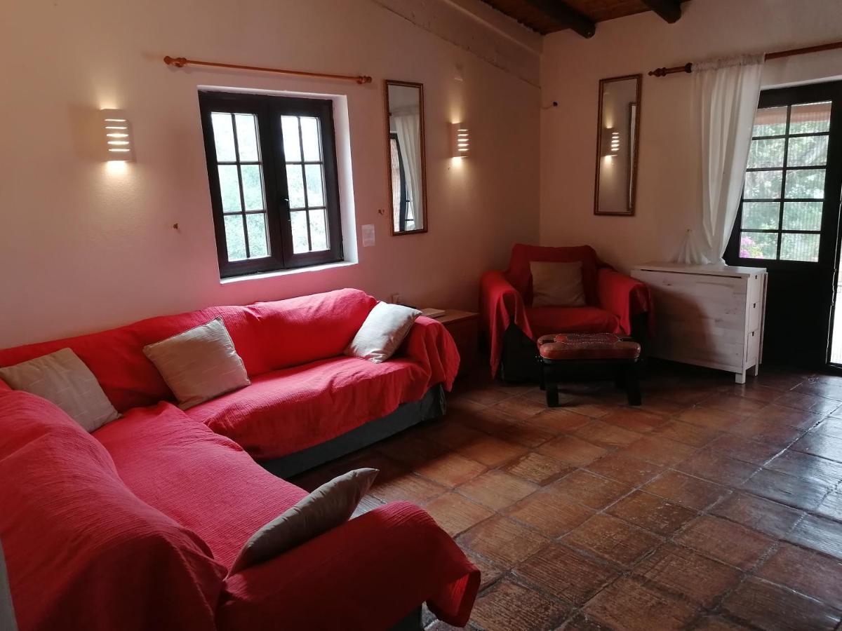 La Quinta Casa Com Piscina Privada Villa Loulé Eksteriør bilde